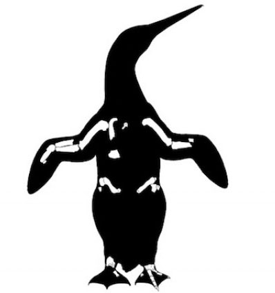 Picture 1 of Find the big penguin record