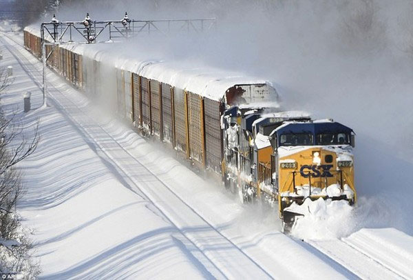 Picture 8 of Find the culprit that made the whole United States freeze