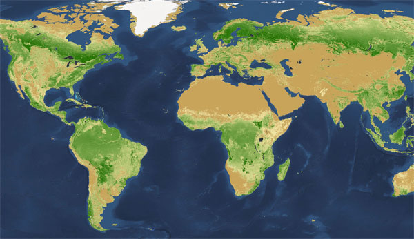 Picture 1 of Find the culprit to destroy half of the trees on Earth