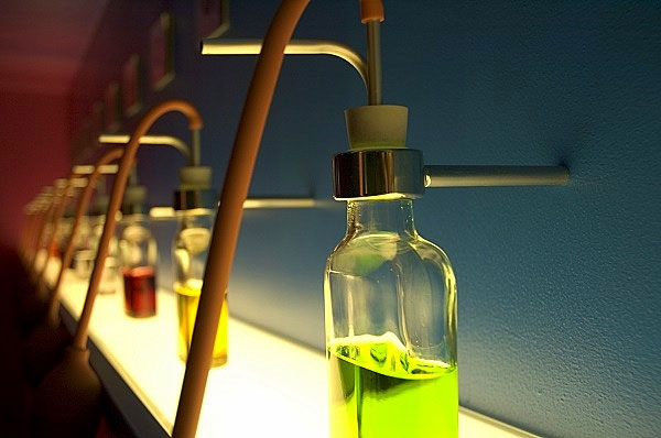 Picture 5 of Find the existence of scent 'true love'