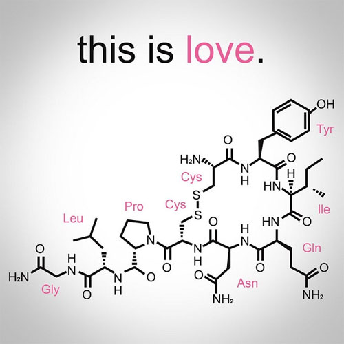 Picture 6 of Find the existence of scent 'true love'