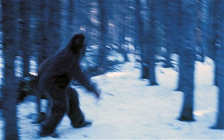 Find the shelter of Yetis Snowman in Russia images 1
