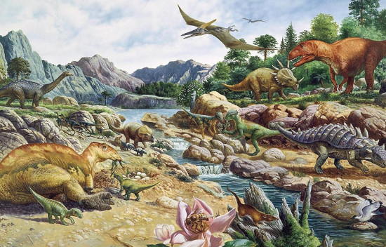 Picture 2 of Finding dinosaurs with nose