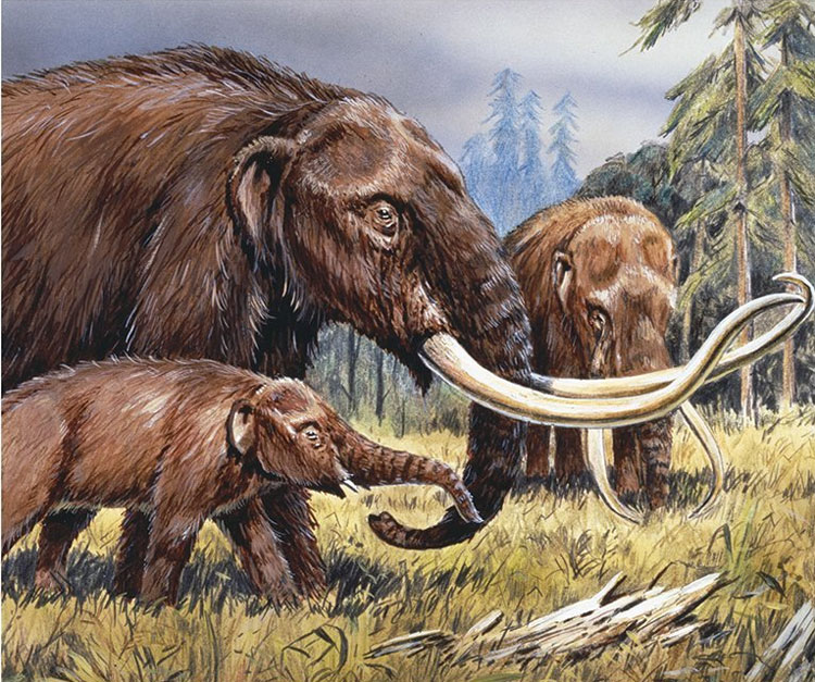 Picture 2 of Finding fossils has the ability to rewrite the entire history of people