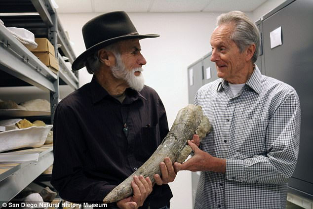 Picture 3 of Finding fossils has the ability to rewrite the entire history of people