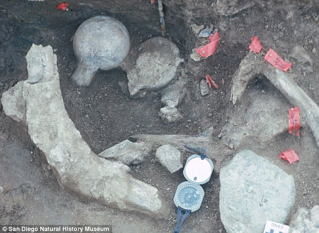 Picture 4 of Finding fossils has the ability to rewrite the entire history of people