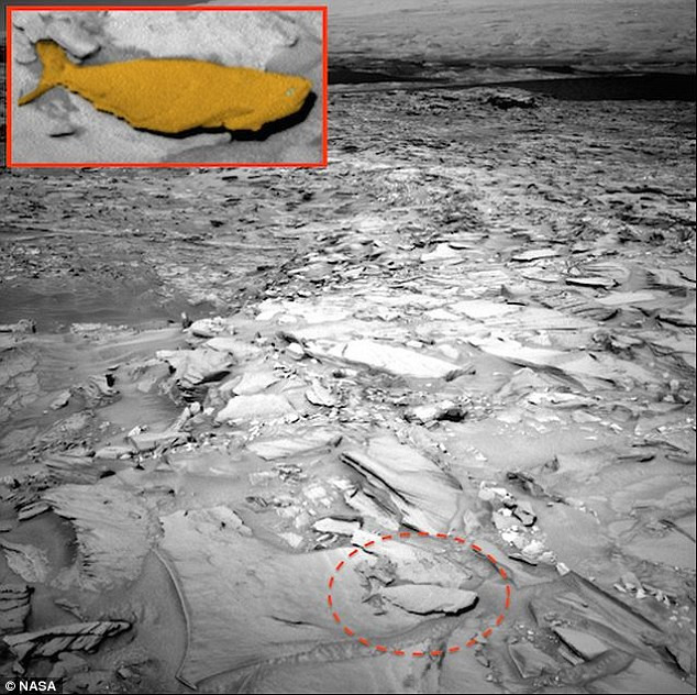 Picture 3 of Finding shells on Mars