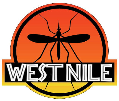 Picture 2 of Finding ways to cure memory loss caused by West Nile virus infection