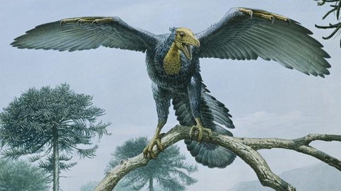 Picture 2 of Findings of dinosaurs change the world