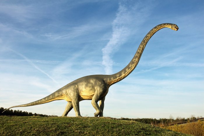 Picture 3 of Findings of dinosaurs change the world