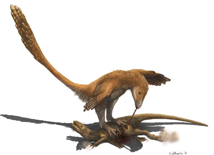 Picture 4 of Findings of dinosaurs change the world
