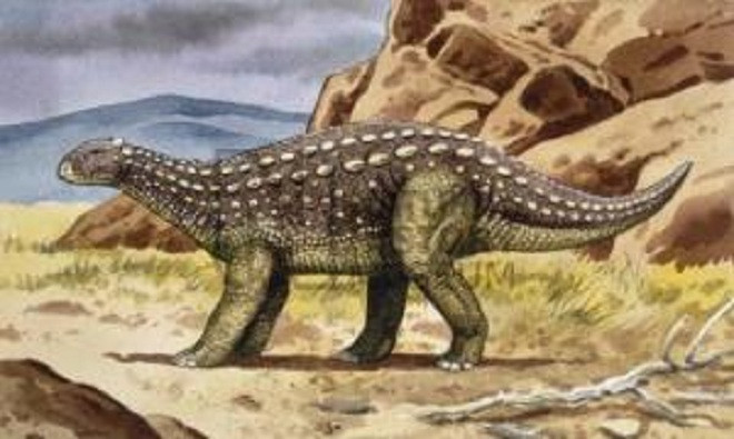 Picture 5 of Findings of dinosaurs change the world