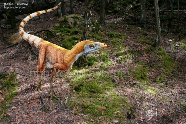 Picture 6 of Findings of dinosaurs change the world
