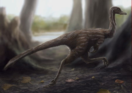 Picture 1 of First discovered Mononykus dinosaur fossils