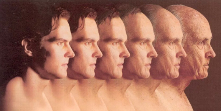 Picture 1 of First test of anti-aging drugs in humans