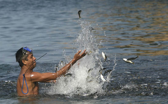 Picture 2 of Fish dyed black on the Mexican coast