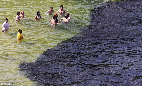 Picture 5 of Fish dyed black on the Mexican coast
