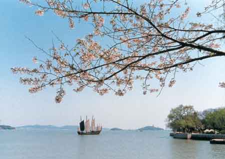 Picture 1 of Fish stocking against water pollution in China