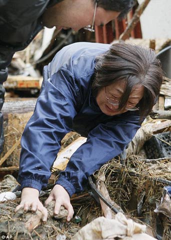 Picture 3 of Five lessons from the nuclear accident in Fukushima