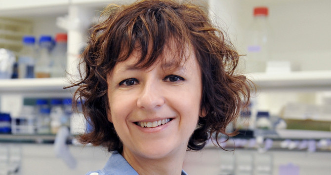 Picture 2 of Five outstanding scientific faces in 2015