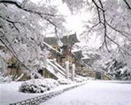 Picture 2 of Five years from now, Earth will become cold?