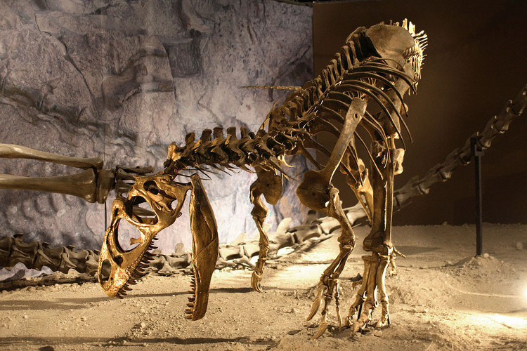 Picture 1 of Flash floods buried dozens of dinosaurs in a prison pond