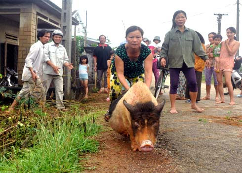 Picture 3 of Flood rains divided Central Vietnam, 8 people were killed