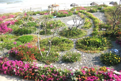 Picture 1 of Flower carpet holds the beach environment