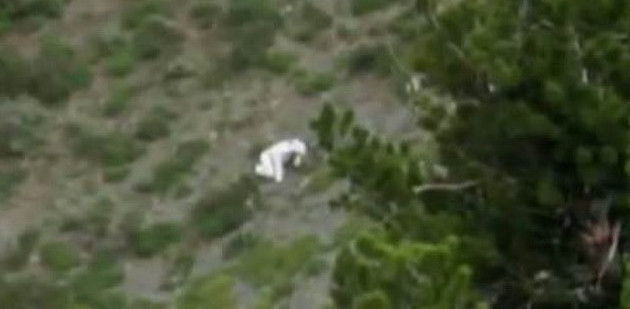 Picture 2 of Fluttering before the images of the mysterious