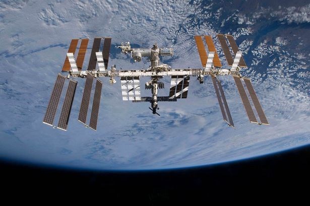 Picture 1 of Fluttering of living microorganisms in ISS comet dust