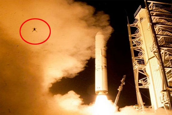 Picture 1 of Flying frogs with NASA spacecraft