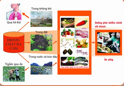 Picture 1 of Food is the main route of exposure to dioxin
