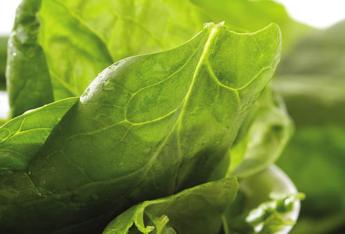Picture 12 of Food that helps improve the immune system