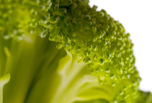 Picture 15 of Food that helps improve the immune system
