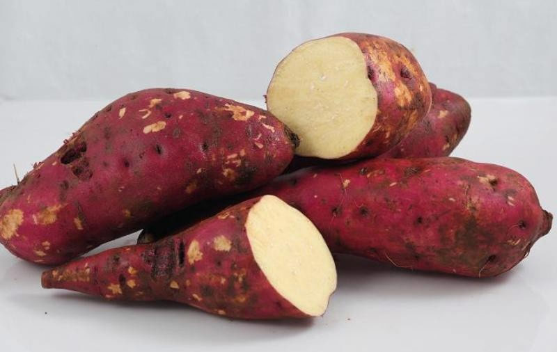 Picture 5 of Foods should be eaten when you have a cold