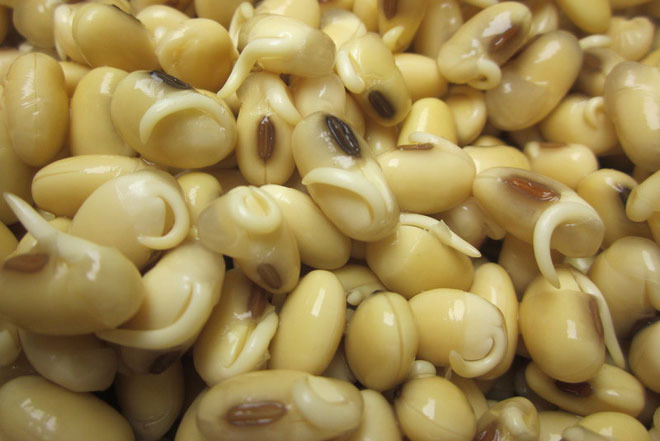 Picture 3 of Foods that germinate absolutely should not be eaten and should be considered when eating