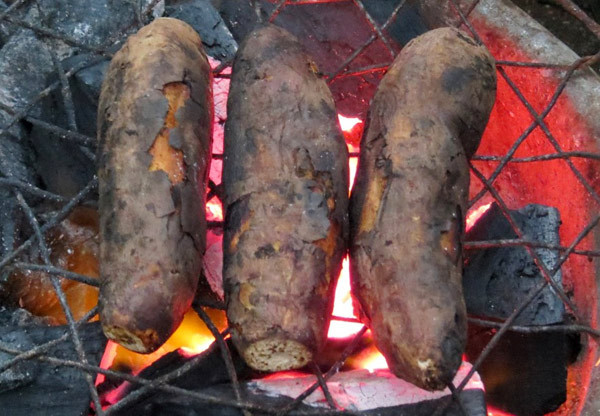 Picture 18 of Foods that keep your body warm in the winter