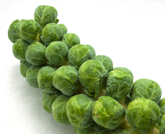 Picture 7 of Foods that keep your body warm in the winter