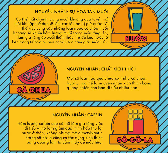 Picture 10 of Foods that promote or prevent outside travel