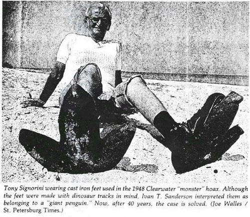 Fool 40 years: The 4.5-meter penguin walking on the Florida coast is just a prank images 3