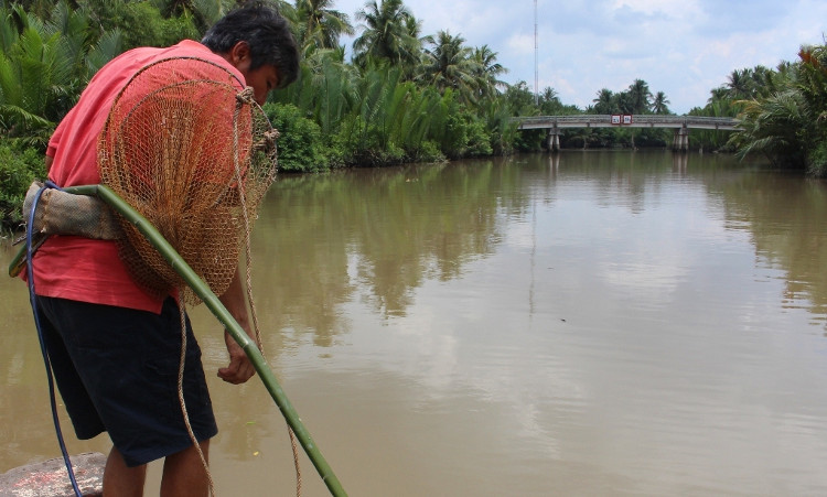 Picture 2 of 'Foolishness' hunting fish in the Ham Luong River: Seeing the corpse coming to the face 'death'