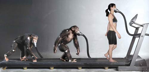 For prehistoric people, 2 legs are better than 4 images 1