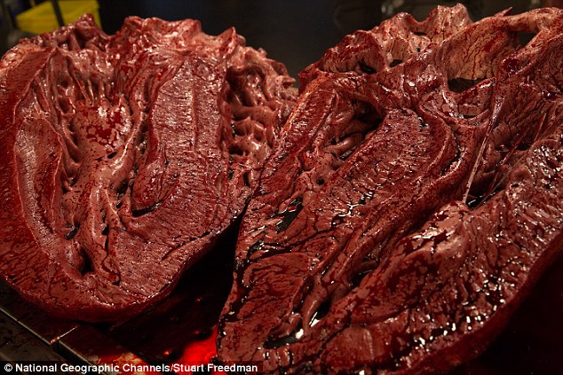 Picture 2 of For the first time, an autopsy of the most complete T-Rex dinosaur