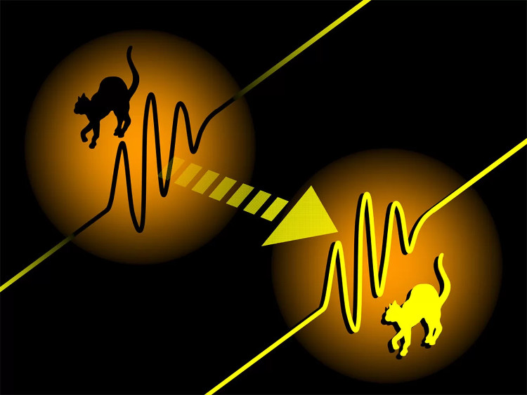 Picture 3 of For the first time in the history of successful experiments,