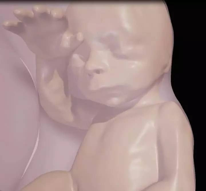 Picture 3 of For the first time parents can meet the fetus through 3D virtual reality