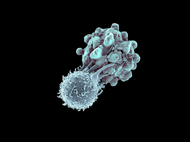Picture 2 of For the first time, three cancer patients in the US were treated with CRISPR gene editing technology