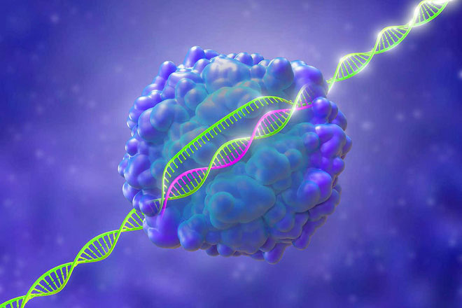 Picture 3 of For the first time, three cancer patients in the US were treated with CRISPR gene editing technology