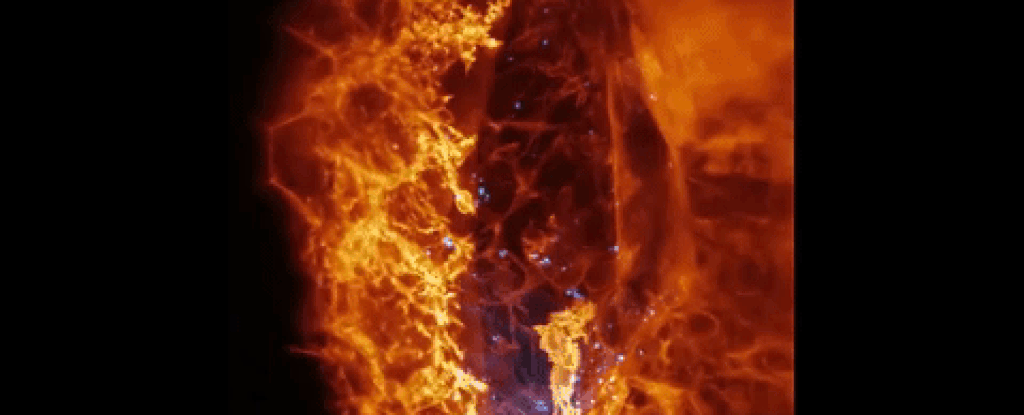 Picture 1 of For the first time, we see an image of a cell moving in a living organism