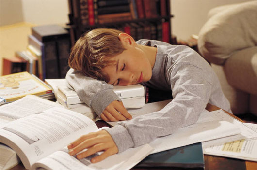 Picture 1 of Forcing children to do too many homework: Loi is not good