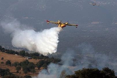 Picture 2 of Forest fires in Algeria